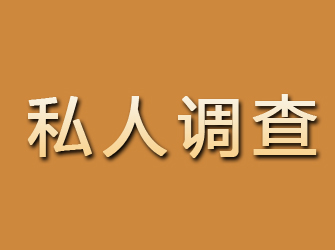 定日私人调查